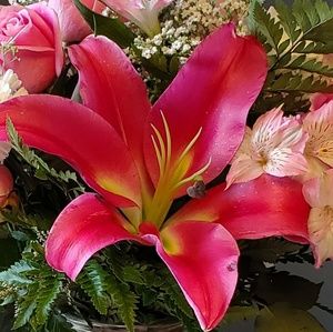 Meet your Posher, Liliana